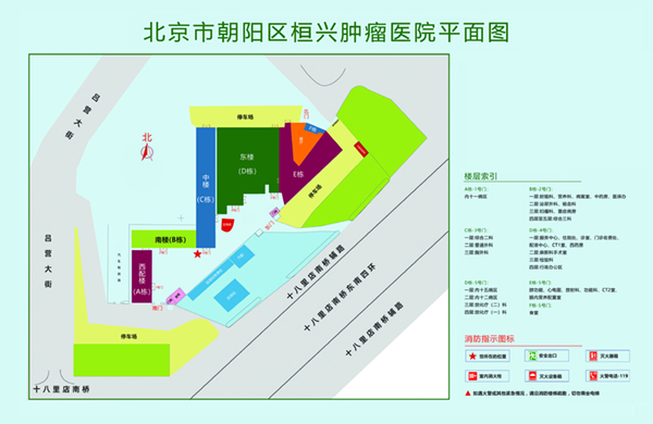 嫩逼网站…北京市朝阳区桓兴肿瘤医院平面图